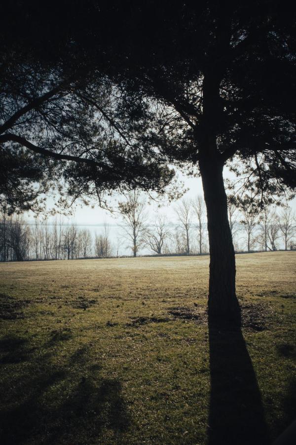 Draycote Hotel And Whitefields Golf Course Rugby Eksteriør billede